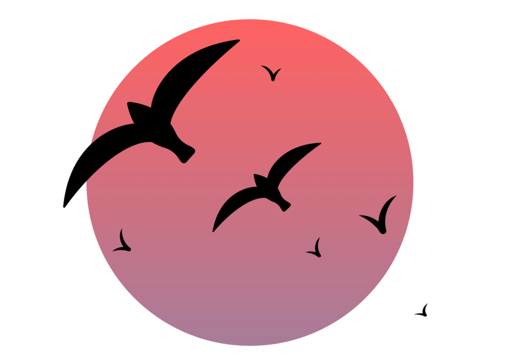 夕方